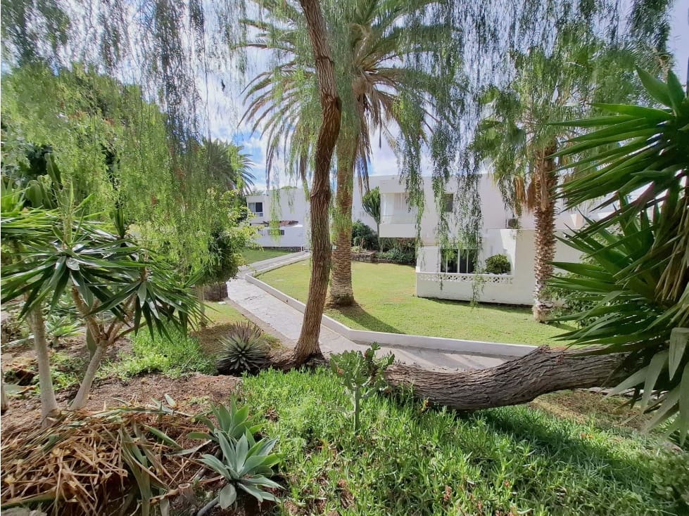 Estúdio para venda em Costa del Silencio - 159 900 € (Ref: 9533058)