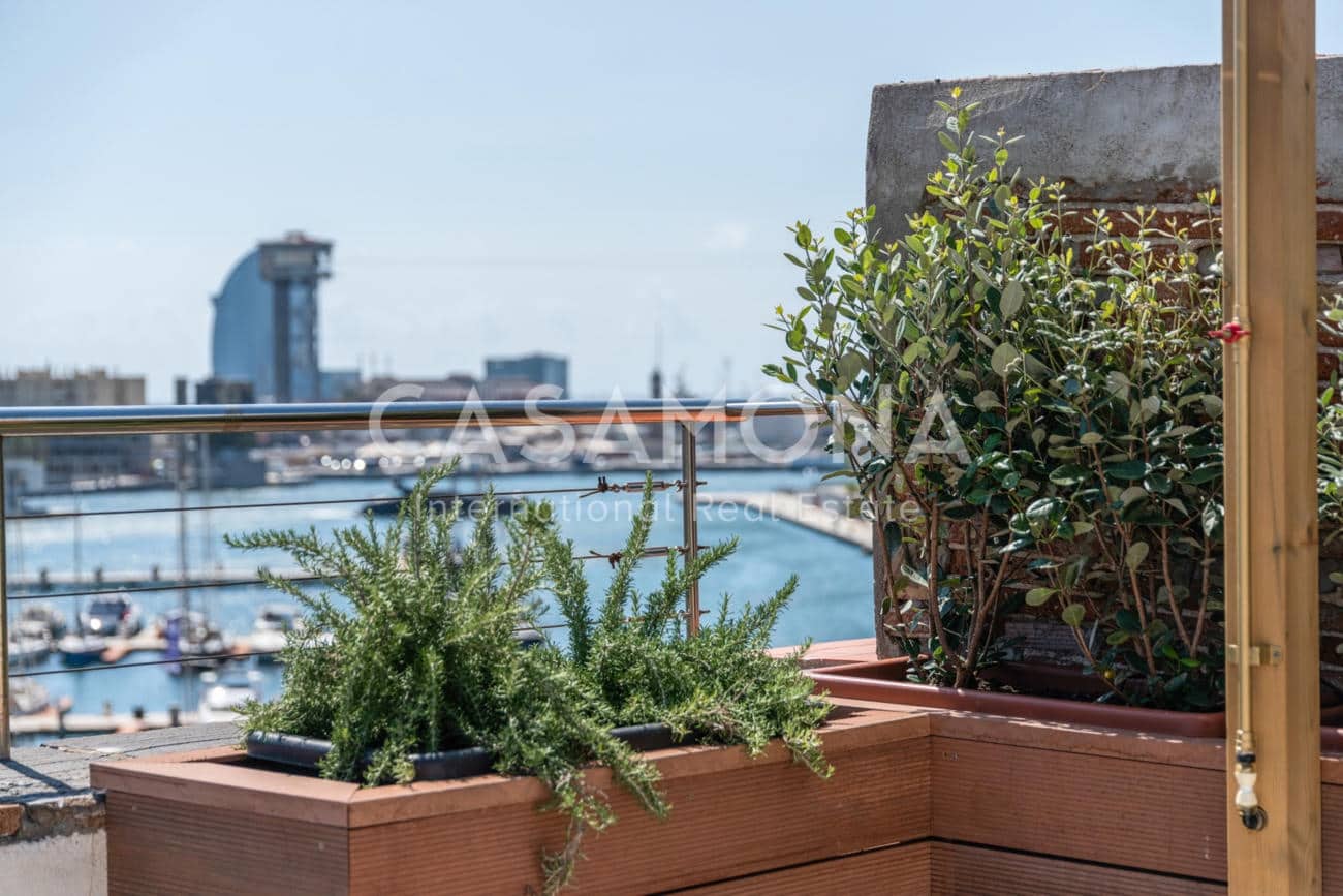 1 bedroom Apartment for rent in Barcelona city - € 2,675 (Ref: 7924869)