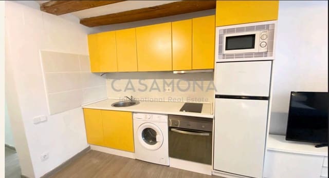 1 bedroom Loft for rent in El Barri Gòtic, Barcelona city - € 1,050 (Ref: 9311443)