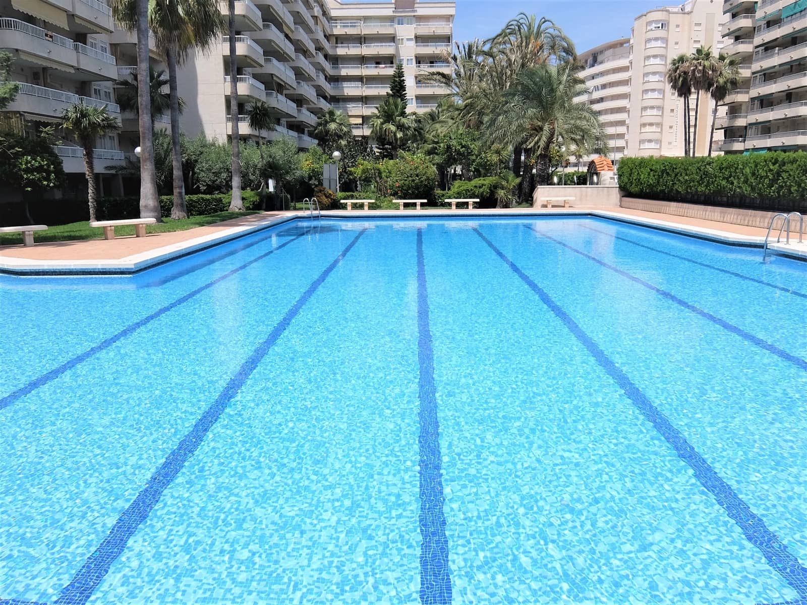 3 soveværelse Strandlejlighed til leje i Gandia med swimmingpool garage - € 550 (Ref: 8241070)