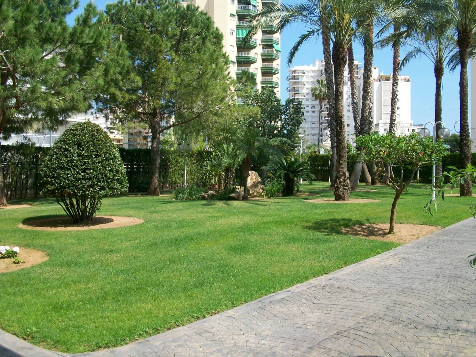 3 soveværelse Strandlejlighed til leje i Gandia med swimmingpool garage - € 550 (Ref: 8241070)