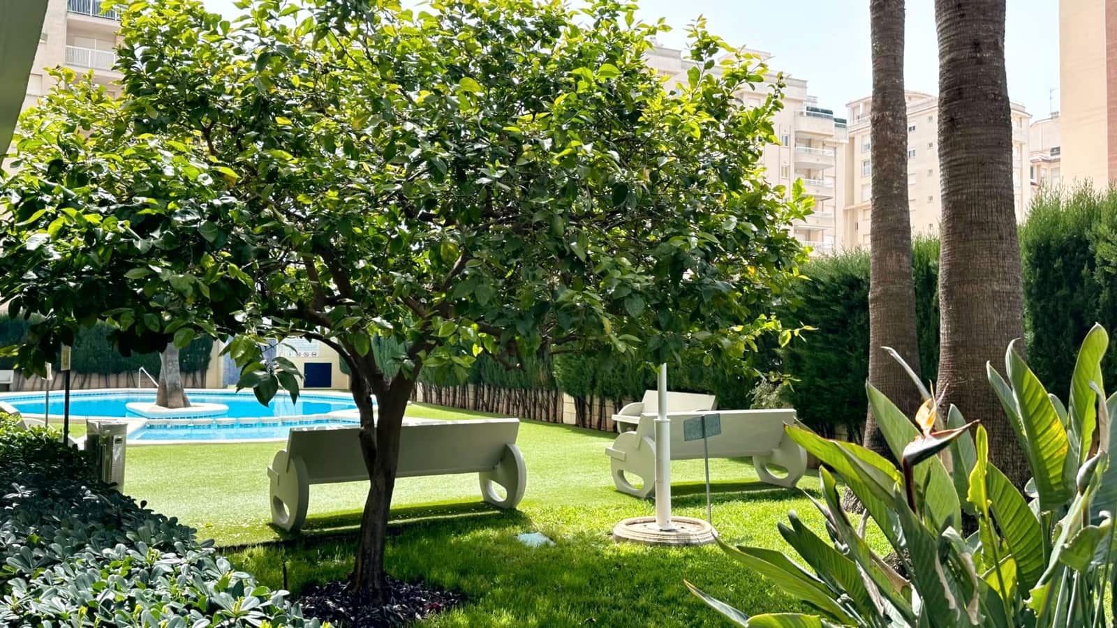 2 soveværelse Lejlighed til leje i Gandia med swimmingpool garage - € 700 (Ref: 8793982)