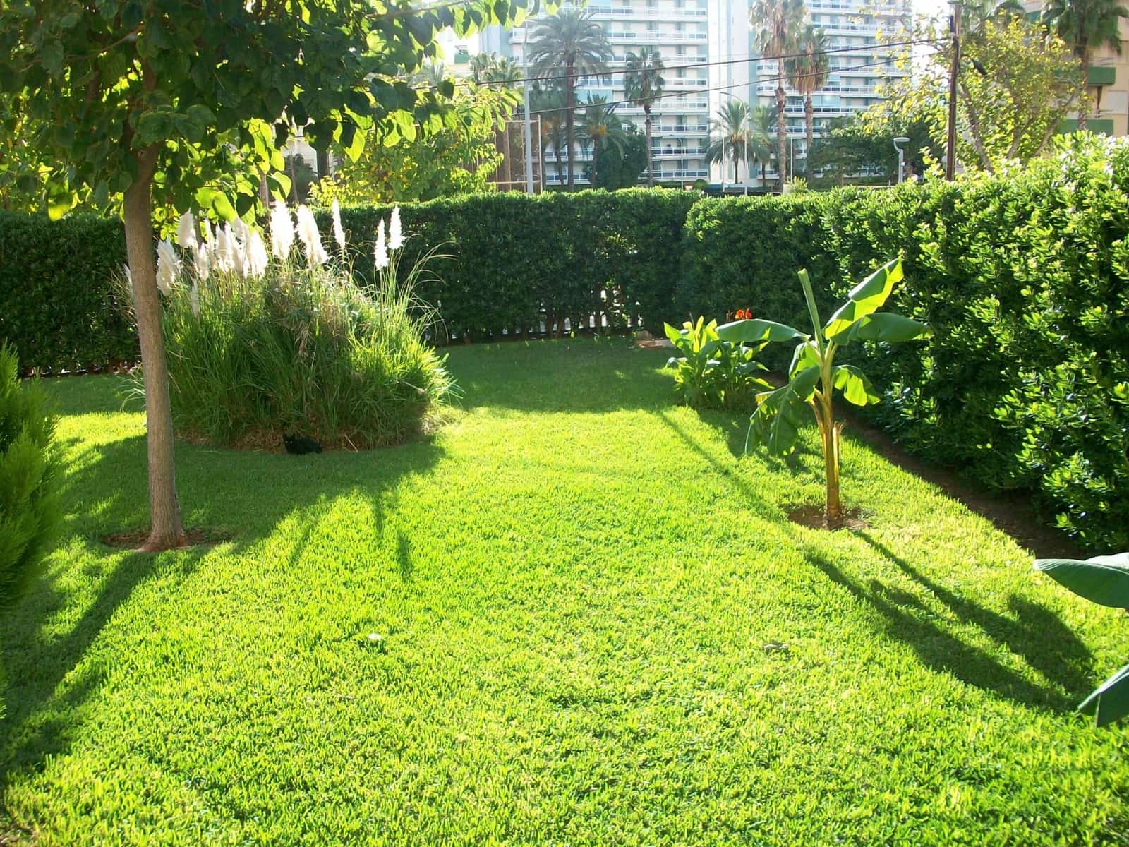 2 soveværelse Lejlighed til salg i Gandia med swimmingpool - € 248.000 (Ref: 9109313)