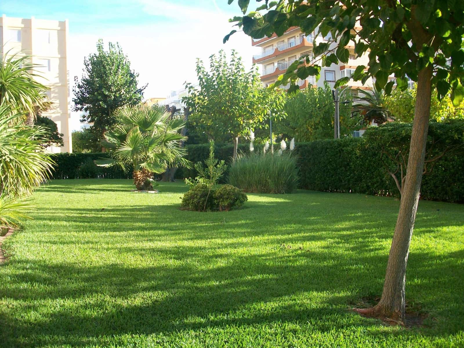 2 soveværelse Lejlighed til salg i Gandia med swimmingpool - € 248.000 (Ref: 9109313)