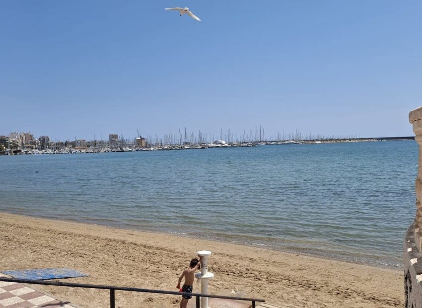 Apartamento de 2 habitaciones en Torrevieja en venta - 249.900 € (Ref: 10032421)