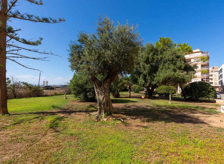 2 Zimmer Apartment zu verkaufen in La Mata - 155.000 € (Ref: 10082089)
