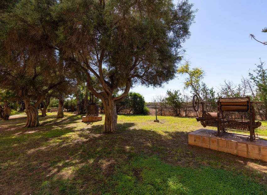 2 Zimmer Apartment zu verkaufen in La Mata - 155.000 € (Ref: 10082089)