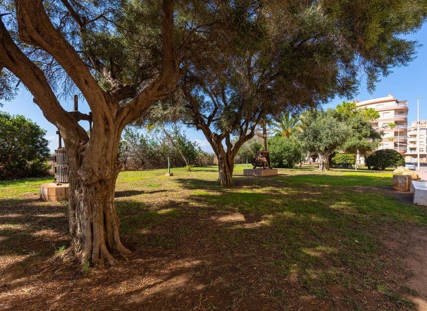 2 Zimmer Apartment zu verkaufen in La Mata - 155.000 € (Ref: 10082089)