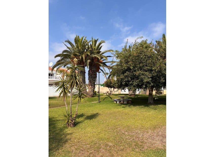2 Zimmer Apartment zu verkaufen in Orihuela mit Pool - 149.999 € (Ref: 10091381)