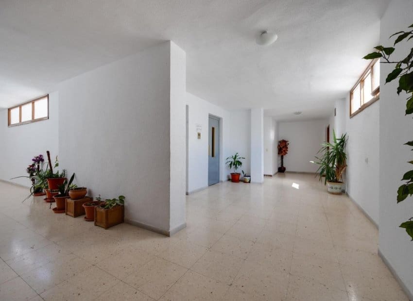 3 chambre Appartement à vendre à Torrevieja - 215 000 € (Ref: 10133425)