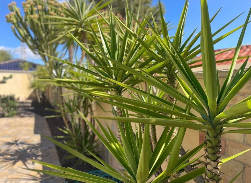 4 bedroom Villa for sale in Villamartin with pool - € 510,000 (Ref: 9131479)