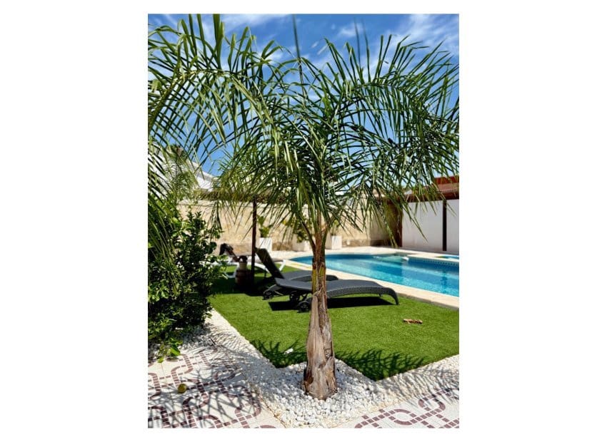 Chalet de 4 habitaciones en Ciudad Quesada en venta con piscina - 530.000 € (Ref: 9136298)