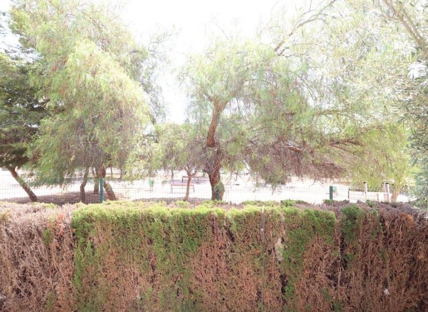 2 soverom Bungalow til salgs i Orihuela Costa med svømmebasseng - € 219 000 (Ref: 9144382)