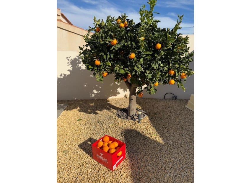 2 bedroom Villa for sale in Ciudad Quesada with pool - € 340,000 (Ref: 9211139)