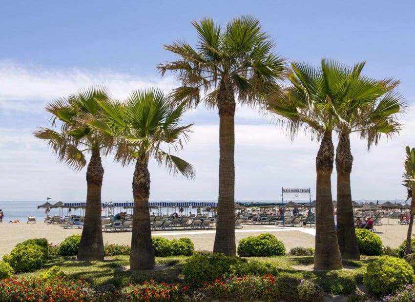 2 soveværelse Lejlighed til salg i Mijas med swimmingpool - € 349.000 (Ref: 9211259)