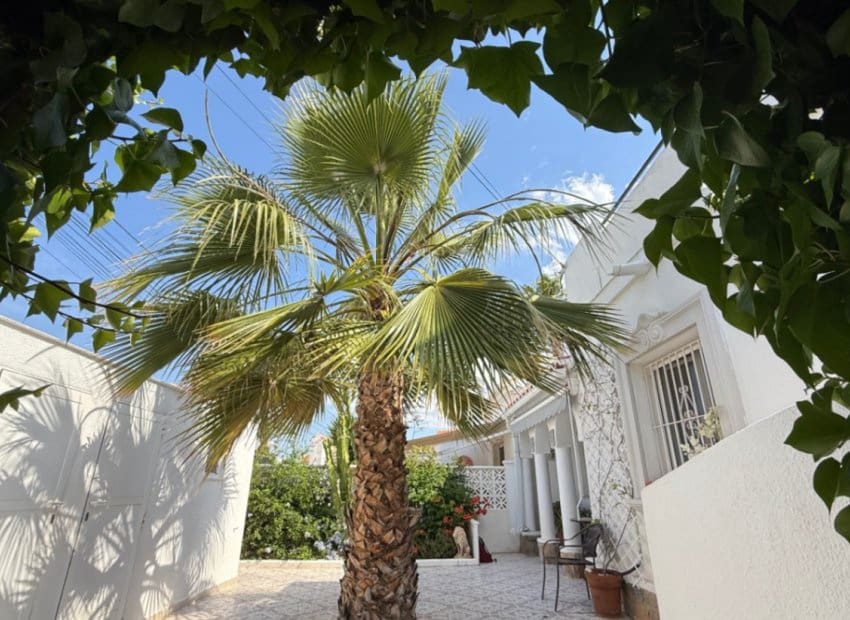 3 bedroom Villa for sale in Torrevieja with pool - € 399,000 (Ref: 9211324)