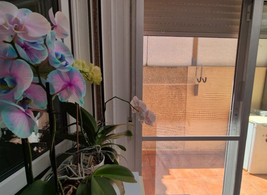 3 chambre Maison de Ville à vendre à Torrevieja avec piscine - 235 000 € (Ref: 9211333)