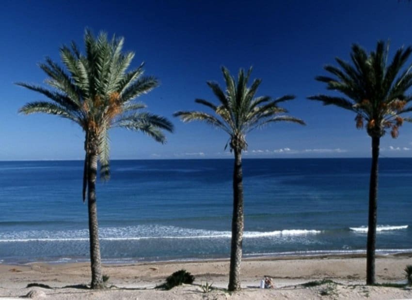 2 chambre Bungalow à vendre à Pilar de la Horadada avec piscine - 255 000 € (Ref: 9211453)