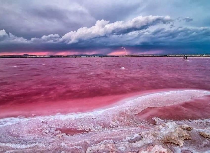 2 soveværelse Lejlighed til salg i San Miguel de Salinas med swimmingpool - € 245.000 (Ref: 9211457)