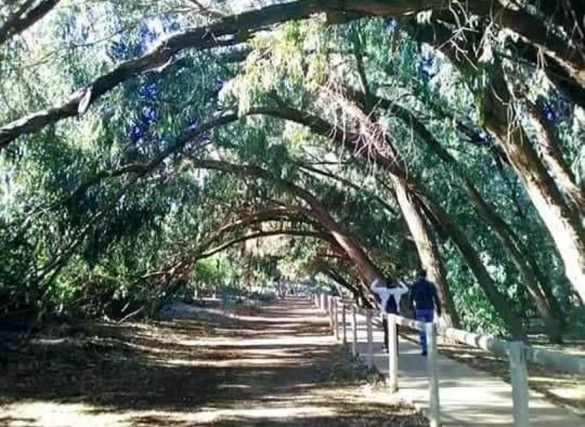 2 soveværelse Lejlighed til salg i Torrevieja med swimmingpool - € 263.900 (Ref: 9211468)