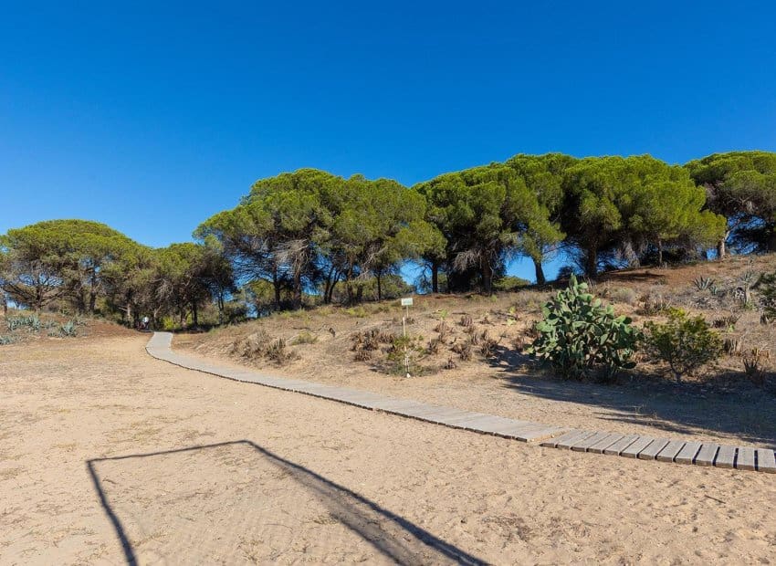 2 sypialnia Apartament na sprzedaż w Guardamar del Segura - 135 000 € (Ref: 9215996)