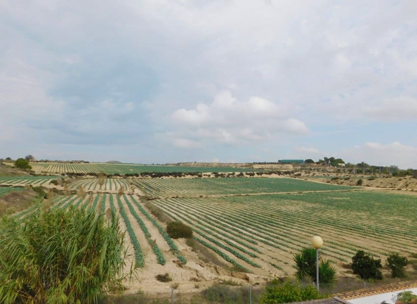 3 camera da letto Villa in vendita in San Miguel de Salinas con piscina - 270.000 € (Rif: 9331366)