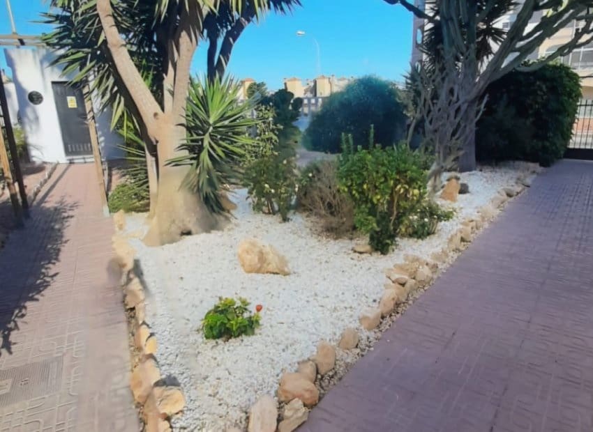 3 bedroom Townhouse for sale in Playa Flamenca with pool - € 297,000 (Ref: 9379971)