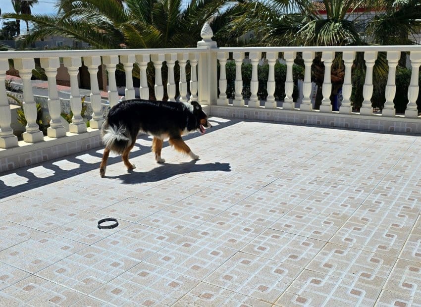 5 soverom Villa til salgs i El Chaparral med svømmebasseng - € 595 000 (Ref: 9397013)