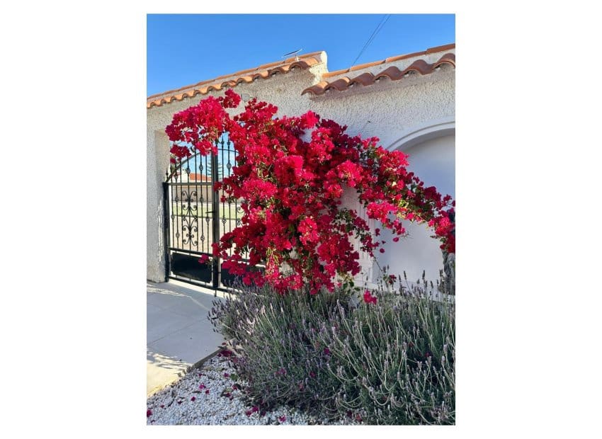 3 soverom Villa til salgs i San Luis med svømmebasseng - € 645 000 (Ref: 9489990)