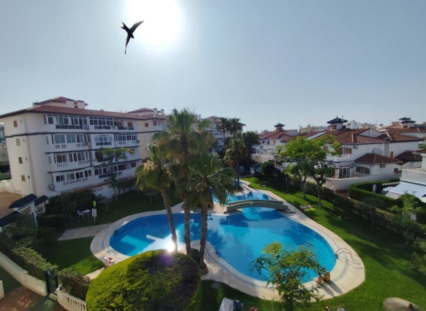 1 chambre Studio à vendre à La Mata avec piscine - 110 000 € (Ref: 9521896)
