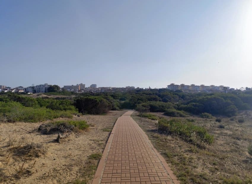 1 chambre Studio à vendre à La Mata avec piscine - 110 000 € (Ref: 9521896)