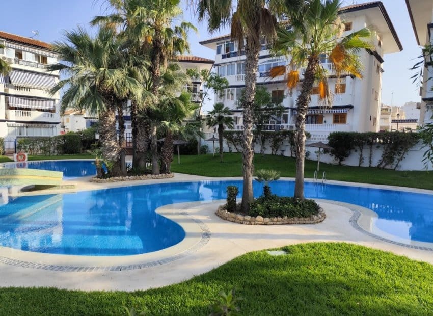 1 chambre Studio à vendre à La Mata avec piscine - 110 000 € (Ref: 9521896)