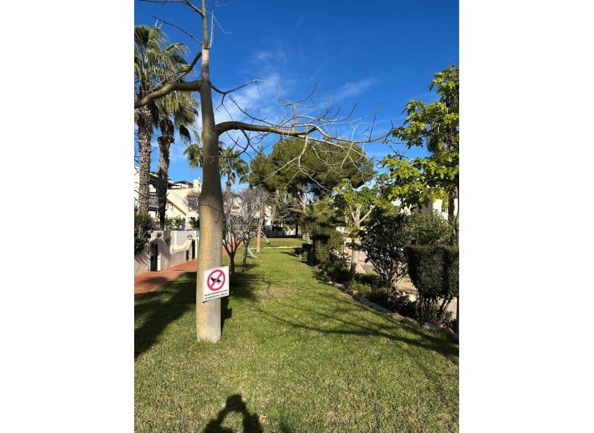 2 quarto Casa em Banda para venda em Dehesa de Campoamor - 235 000 € (Ref: 9523401)