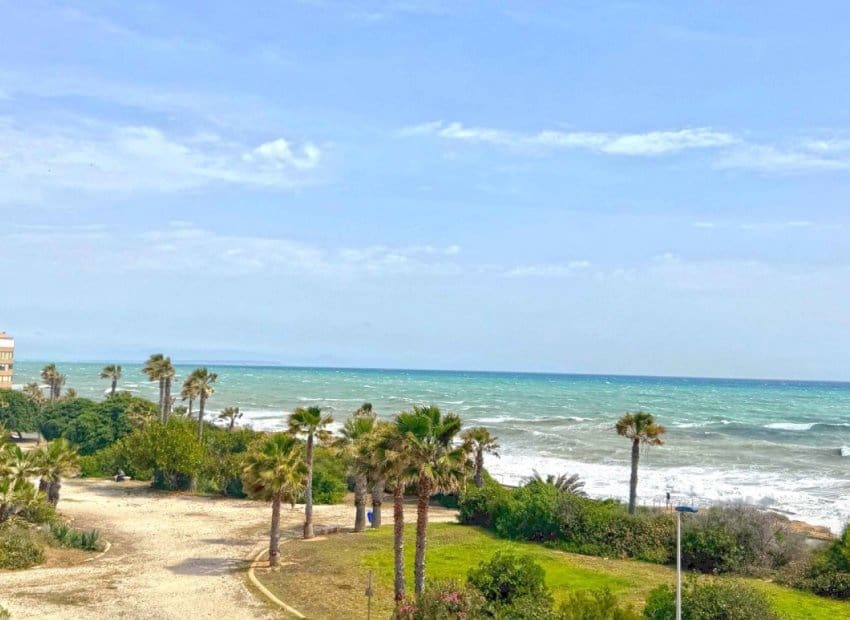 1 camera da letto Appartamento sulla Spiaggia in vendita in La Mata - 159.999 € (Rif: 9523442)