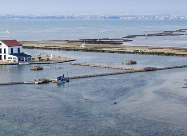 2 bedroom Apartment for sale in San Pedro del Pinatar ciudad, San Pedro del Pinatar with pool - € 254,900 (Ref: 9525435)