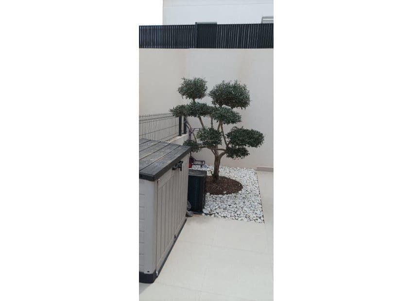 5 bedroom Villa for sale in Algorfa with pool - € 575,000 (Ref: 9525491)