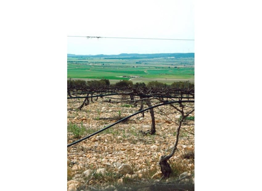 Chalet de 6 habitaciones en Yecla en venta con piscina - 800.000 € (Ref: 9528614)