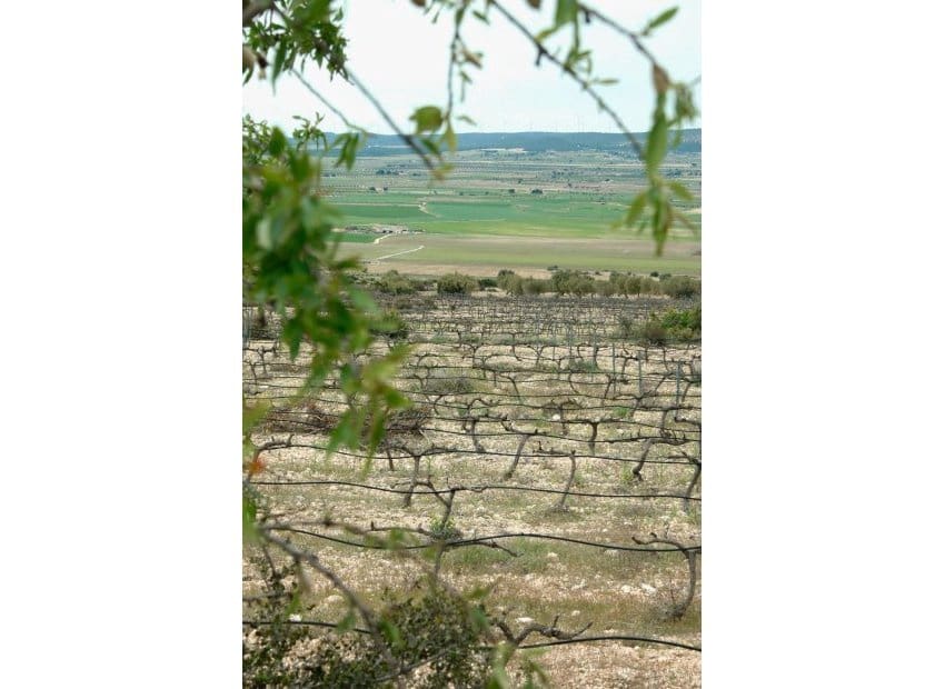 Chalet de 6 habitaciones en Yecla en venta con piscina - 800.000 € (Ref: 9528614)