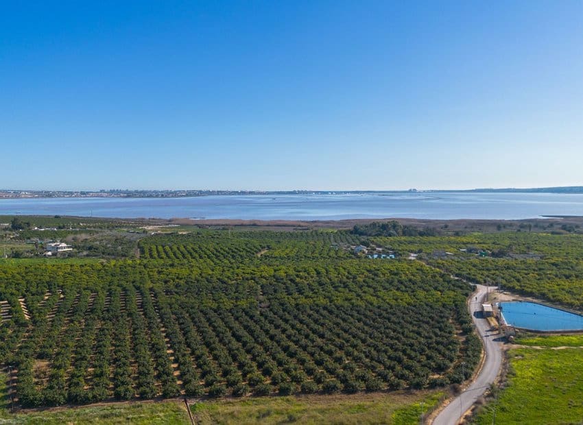 Apartamento de 3 habitaciones en Los Montesinos en venta - 245.900 € (Ref: 9572172)