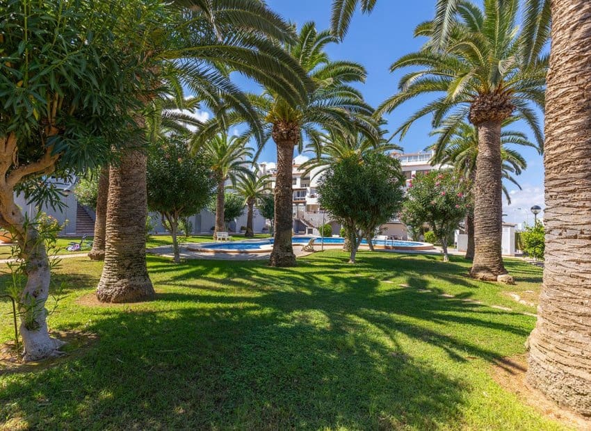 1 soveværelse Lejlighed til salg i La Mata med swimmingpool - € 179.500 (Ref: 9596737)