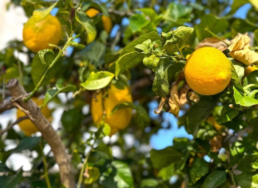 3 bedroom Villa for sale in Orihuela Costa with pool - € 475,000 (Ref: 9617129)