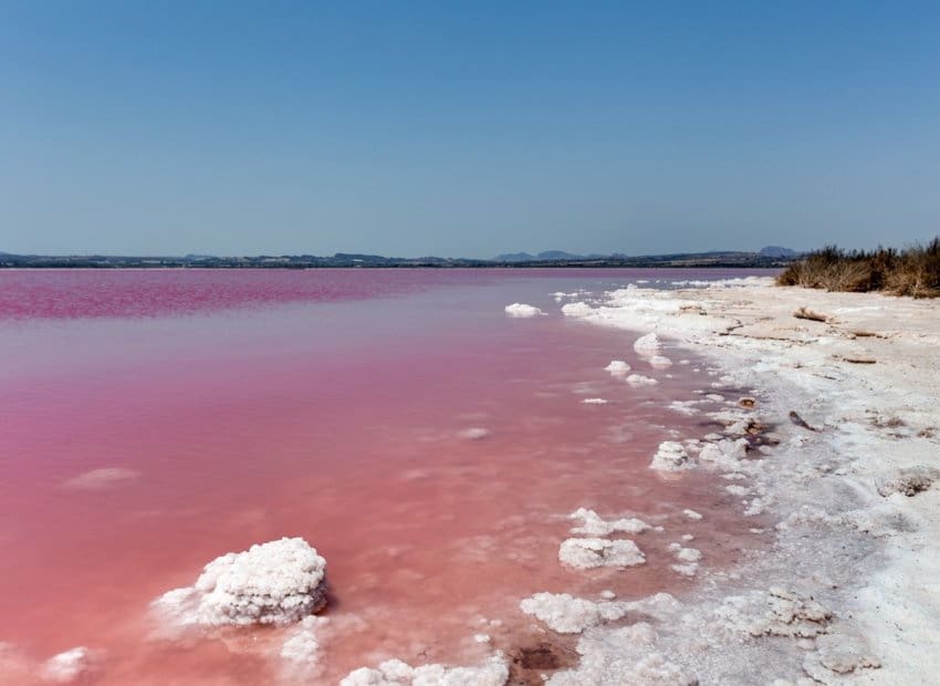 2 soveværelse Rækkehus til salg i La Torreta - € 160.000 (Ref: 9622007)