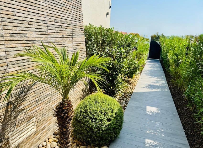 3 sypialnia Willa na sprzedaż w Algorfa z basenem - 650 000 € (Ref: 9635174)