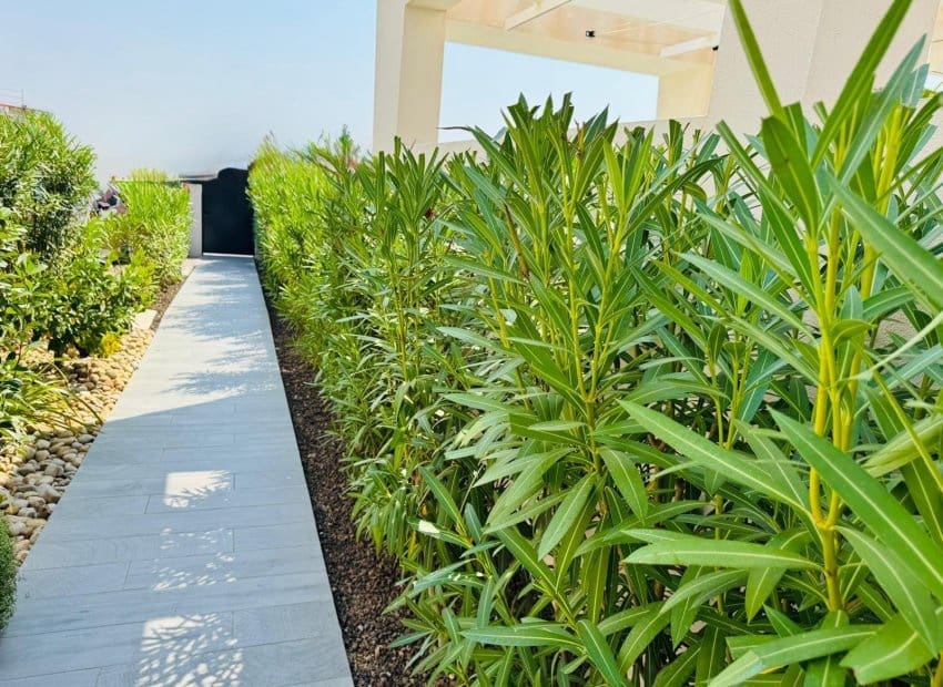 3 sypialnia Willa na sprzedaż w Algorfa z basenem - 650 000 € (Ref: 9635174)