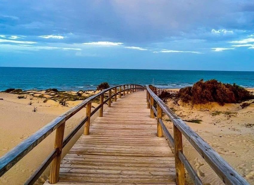 3 sypialnia Willa na sprzedaż w Algorfa z basenem - 650 000 € (Ref: 9635174)