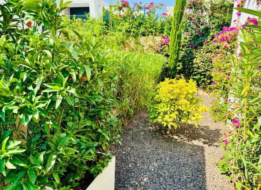 3 sypialnia Willa na sprzedaż w Algorfa z basenem - 650 000 € (Ref: 9635174)