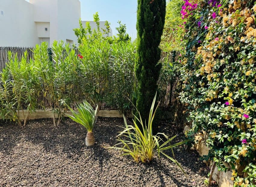 3 sypialnia Willa na sprzedaż w Algorfa z basenem - 650 000 € (Ref: 9635174)