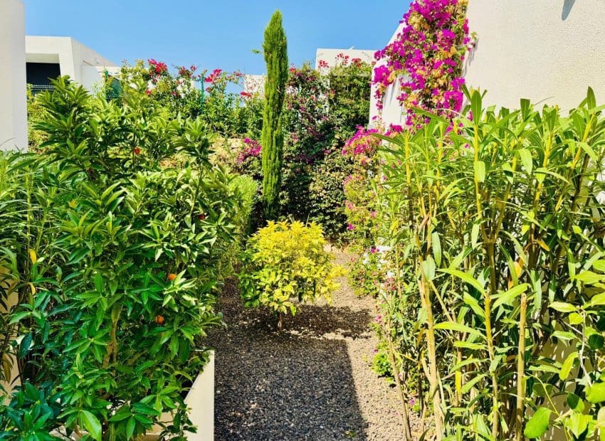 3 sypialnia Willa na sprzedaż w Algorfa z basenem - 650 000 € (Ref: 9635174)