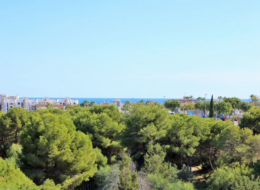 4 sovrum Villa till salu i Playa Flamenca med pool - 379 000 € (Ref: 9649894)