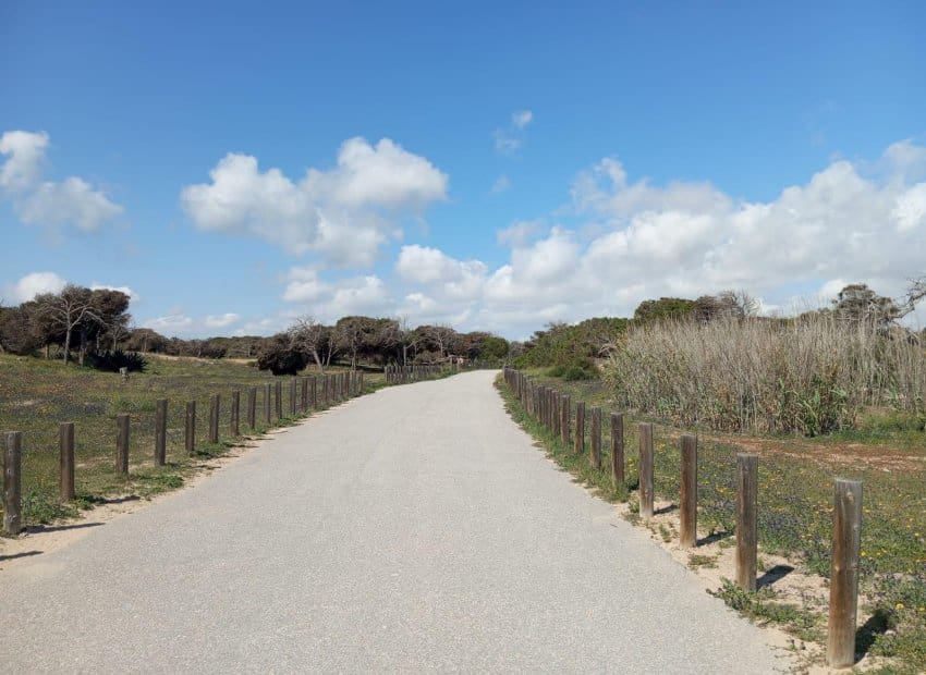 2 bedroom Apartment for sale in Guardamar del Segura with pool - € 180,000 (Ref: 9657038)